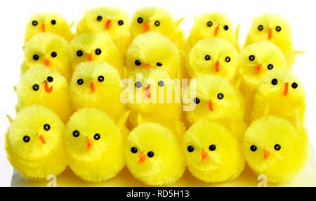 Mini chicks, Easter decorations Stock Photo