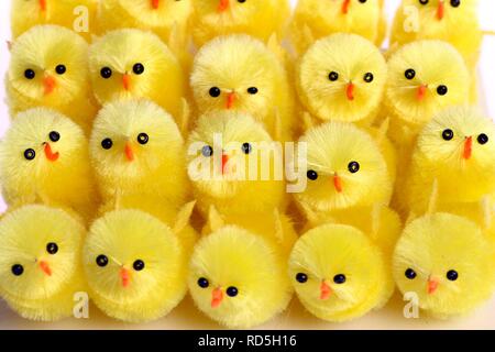 Mini chicks, Easter decorations Stock Photo