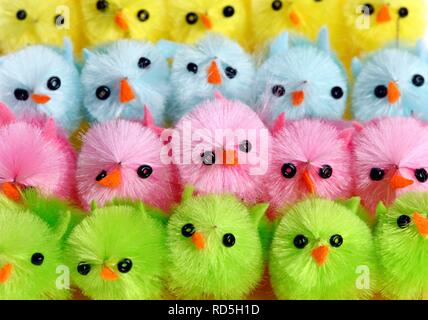 Colourful mini chicks, Easter decorations Stock Photo