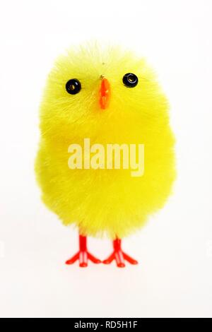 Mini chick, Easter decoration Stock Photo