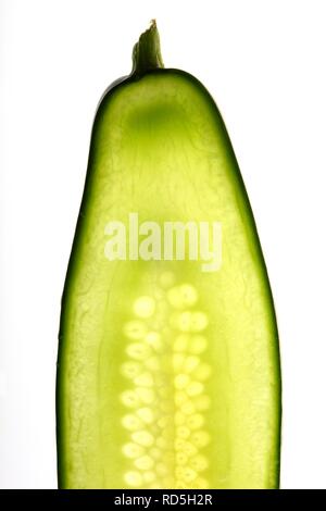 Cucumber (Cucumis sativus), slice Stock Photo