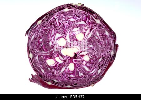 Red cabbage, Red Kraut or Blue Kraut (Brassica oleracea convar. capitata var. rubra), cross section Stock Photo