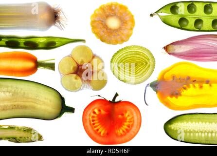 Various fresh vegetables, cross-sections and slices Stock Photo