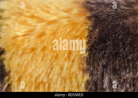 abstract background faux fur yellow with brown Stock Photo
