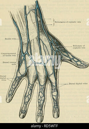 . Cunningham's Text-book of anatomy. Anatomy. 978 THE VASCULAB SYSTEM