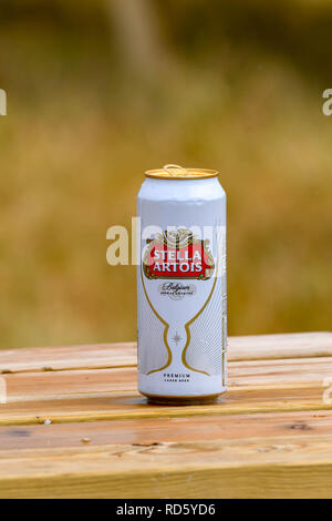 FAIRFORD, ENGLAND - JULY 2018: Can of Stella Artois lager on an outdoor wooden picnic table, isolated against blurred background. Stock Photo