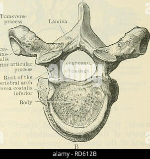 . Cunningham's Text-book of anatomy. Anatomy. Articular part of ...