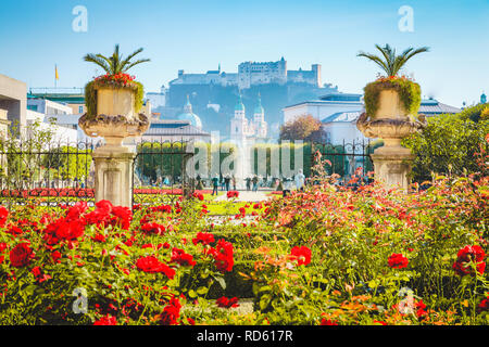 Classic view of famous Mirabell Gardens with historic Hohensalzburg Fortress in the background on a sunny day in fall in Salzburg, Austria Stock Photo