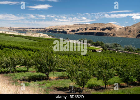 Summertime Views of the Columbia River Gorge in Washington State Stock Photo