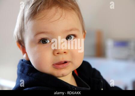 Portrait of a little boy, 10 months, looking friendly Stock Photo