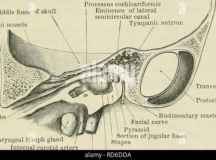 . Cunningham's Text-book of anatomy. Anatomy. THE CEANIUM. 1367 chin ...