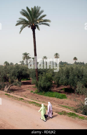 Les Jardin De La Menara or Menara Gardens, Marrakech, Morocco Stock Photo