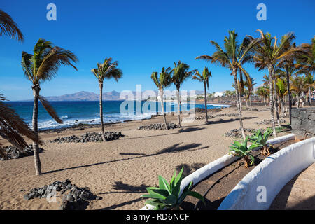 Puerto del Carmen beach in Lanzarote, Canary islands, Spain. blue sea, palm trees, selective focus
