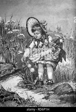 Child picking summer flowers, historical illlustration, about 1886 Stock Photo