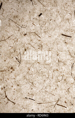 recycled abstract beautiful handmade transparent paper with nature elements. brown warm tint. crafts. suitable for backgrounds with space for text Stock Photo