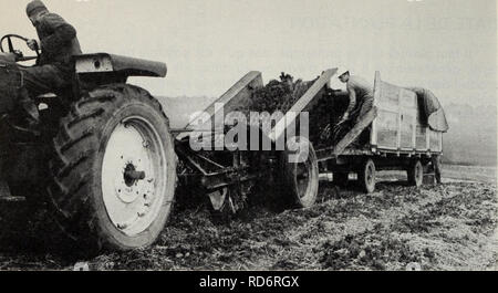 . Culture du fraisier dans l'est du Canada. Fraises; Strawberries. Figure 1 Récolteuse mécanique utilisée par les pépiniéristes pour arracher les plants.. Please note that these images are extracted from scanned page images that may have been digitally enhanced for readability - coloration and appearance of these illustrations may not perfectly resemble the original work.. Craig, D. L. (Donald Laird), 1923-; Canada. Agriculture Canada. Ottawa : Agriculture Canada Stock Photo