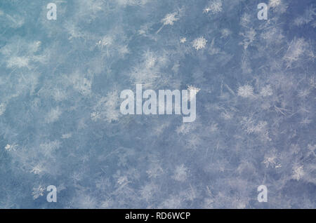 Snowflakes close-up. soft focus macro photo. crystal clear ice. winter. shallow depth of field. christmas theme. Christmas background for layout Stock Photo