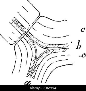 C-FIOAD-2020 Test Voucher