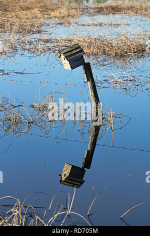 A birdhouse on a fence with its reflection in water. Stock Photo