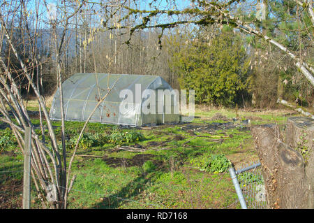 Unused greenhouse on a large rural property in British Columbia, Canada. Shot in the winter, so no production of flowers or vegetables. Stock Photo