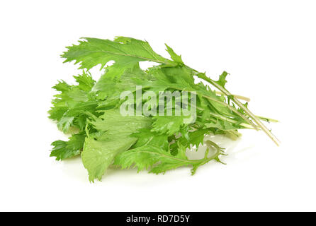 fresh mizuna vegetable isolated on white background Stock Photo