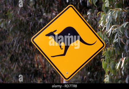 ROAD SIGN, NEW SOUTH WALES, WARNING DRIVERS THAT KANGAROOS CROSS THIS SECTION OF ROAD. AUSTRALIA. Stock Photo