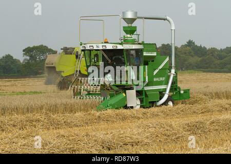 Harvesting grain as part of Rothamsted Experimental station efficiency experiments Stock Photo