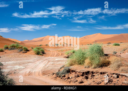Dune landscape in Namib-Naukluft National Park, Namibia, Africa Stock Photo