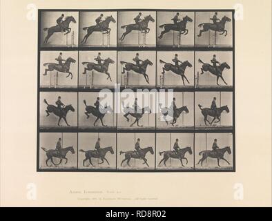 Animal Locomotion. An Electro-Photographic Investigation of Consecutive Phases of Animal Movements. Commenced 1872 - Completed 1885. Volume IX, Horses Stock Photo