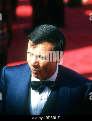 PASADENA, CA - SEPTEMBER 19: Actor Robert Blake attends the 45th Annual Primetime Emmy Awards on September 19, 1993 at Pasadena Civic Auditorium in Pasadena, California. Photo by Barry King/Alamy Stock Photo Stock Photo