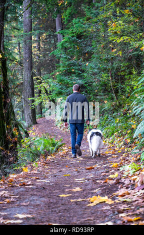 A young man walks with his pet, a long-haired dog, strolling along a path in a wild forest covered with yellowed autumn leaves, enjoying the scent of  Stock Photo