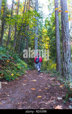 A young man in red jacket walks with backpack strolling along a path in a wild forest covered with yellowed autumn leaves, enjoying the scent of wild  Stock Photo