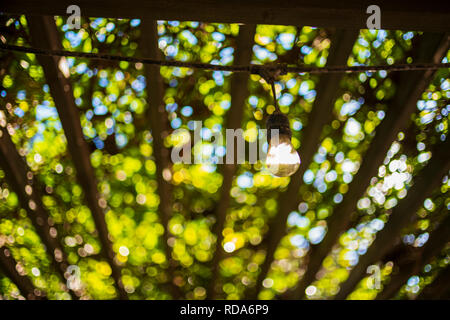A shaded outdoor living area, with a pergola taken over by wisteria, lighted by a string of lightbulbs. Stock Photo
