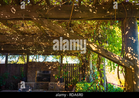 A shaded outdoor living area, with a pergola taken over by wisteria, lighted by a string of lightbulbs. Stock Photo