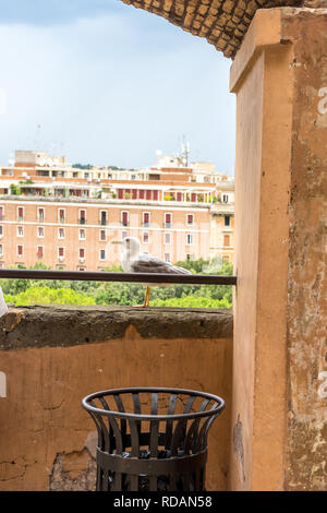 a bird sitting on top of a brick building Stock Photo