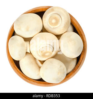 Whole white champignon mushrooms in wooden bowl. Agaricus bisporus, also called common, button, cultivated or table mushroom. Stock Photo