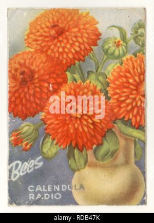 Vintage Bee's Seeds packet, Calendula Radio Flowers, Liverpool, U.K. Stock Photo