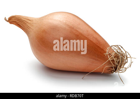 Single onion bulb isolated on white background Stock Photo