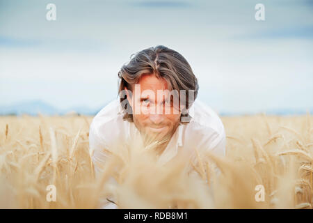 The beautiful brutal young man with long brunette hairs poses in the field with wheat, suntanned man, easy beard, sunset light, turns, smiles, flirts, Stock Photo