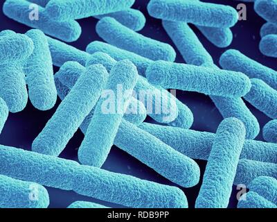 Bacteria close up Stock Photo