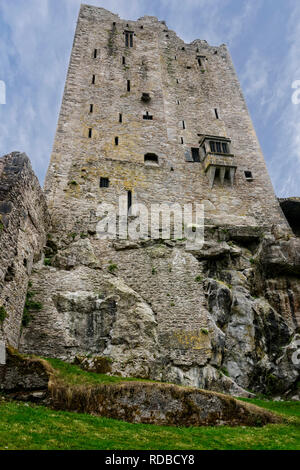 The North Wall of Blarney Castle sits directly on an eight-meter cliff of rock, which formed the quarry for building the castle. Stock Photo