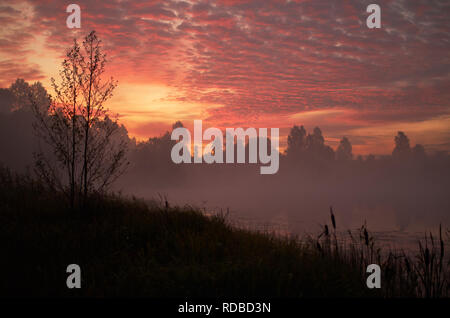 Beautiful orange pink sky over peaceful forest. Foggy autumn sunrise. Trees silhouette, lonely dock quiet lake, swamp plants, smoke mist on still calm water. Russia Moscow area nature landscape Stock Photo