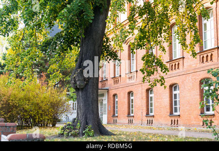 facade of an old building, tree in the foreground Stock Photo