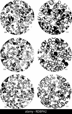 . Heredity and evolution in plants. Heredity; Plants. 114 HEREDITY AND ...