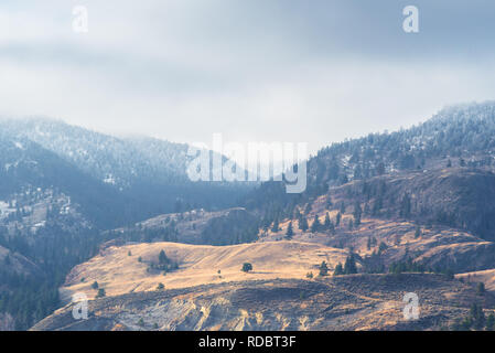 Golden grassy hills contrast with forest snow covered mountains and fog in winter
