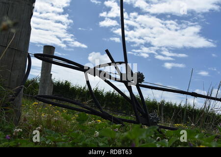 Plastic irrigation pipes in a vineyard, tied up at the end of a row with wire tensioners on wire behind Stock Photo