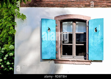 bright turquoise retro wooden shutters on house window with tree shadows Stock Photo