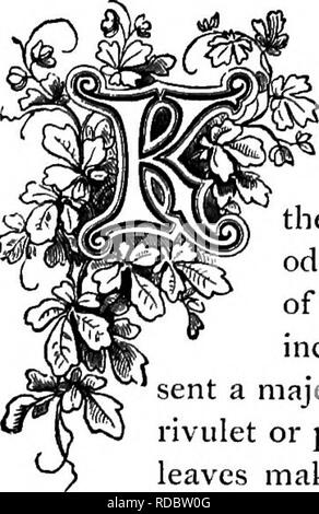 . The floral kingdom : its history, sentiment and poetry : A dictionary of more than three hundred plants, with the genera and families to which they belong, and the language of each illustrated with appropriate gems to poetry . Flower language; Flowers in literature. have many deep angles, with curious swellings with each set of spines; the Epiphyllums have flat leaves without spines, producing flpwers at their margins; Melocactus is the genus familiarly called Turk's Cap; and the Mamillarias are distinguished by their numerous tubercles or small, rounded projections. All the Cactaceae will g Stock Photo