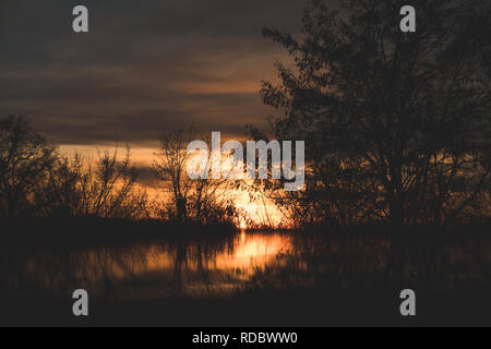 Wonderful sunset shining through trees in the evening Stock Photo