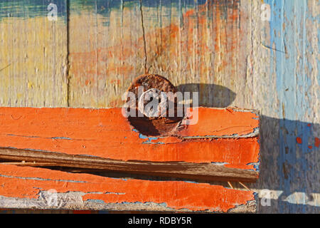 rusty screw and peeling paint on a beach cabin with distressed wood grain in winter in Italy on the Adriatic coast Stock Photo